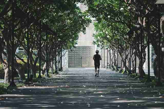 【鉴黄师官网入口】暗黑故事线揭秘 - 全景扫射，鉴黄师有什么危害
